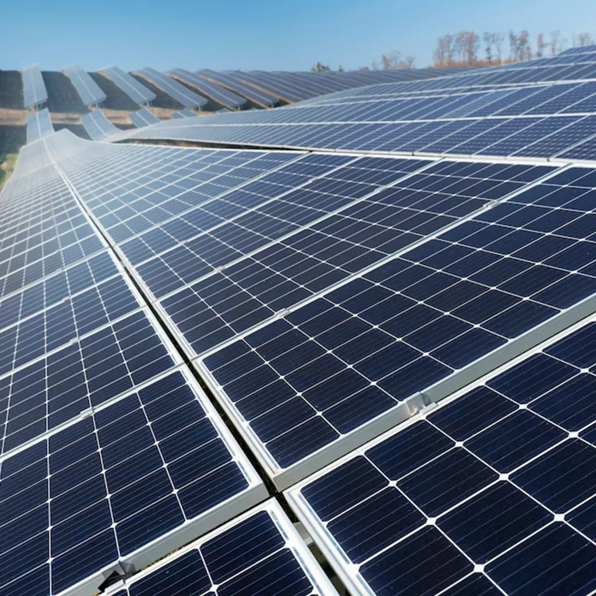 Quels panneaux solaires ?